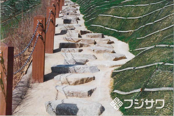 ����O�g��