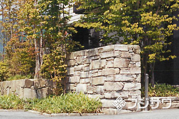 ����O�g���R�R�o��