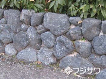 �T�r�S���^��