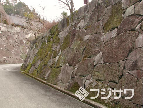 ����O�g��