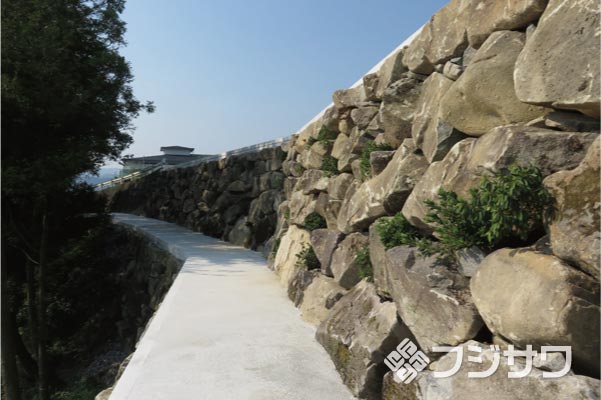 ����O�g��